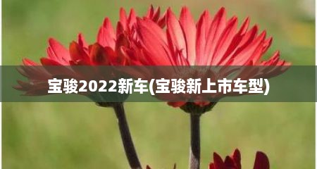 宝骏2022新车(宝骏新上市车型)