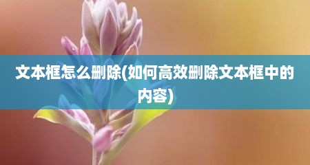 文本框怎么删除(如何高效删除文本框中的内容)