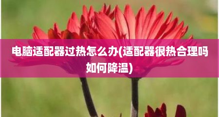 电脑适配器过热怎么办(适配器很热合理吗如何降温)
