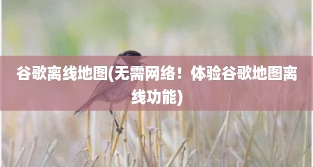 谷歌离线地图(无需网络！体验谷歌地图离线功能)