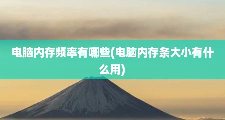 电脑内存频率有哪些(电脑内存条大小有什么用)