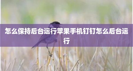 怎么保持后台运行苹果手机钉钉怎么后台运行