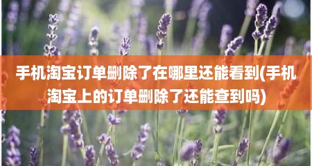 手机淘宝订单删除了在哪里还能看到(手机淘宝上的订单删除了还能查到吗)