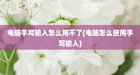 电脑手写输入怎么用不了(电脑怎么使用手写输入)