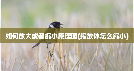 如何放大或者缩小原理图(缩放体怎么缩小)