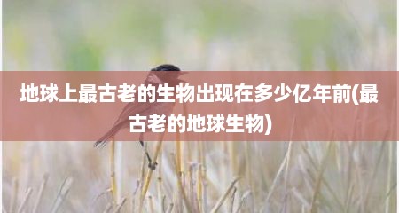 地球上最古老的生物出现在多少亿年前(最古老的地球生物)