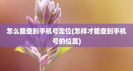 怎么能查到手机号定位(怎样才能查到手机号的位置)