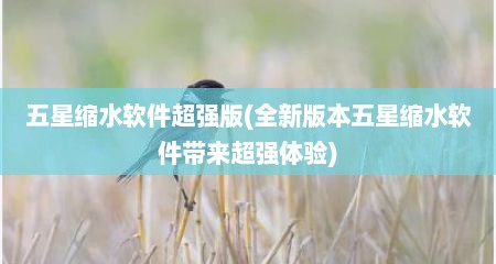 五星缩水软件超强版(全新版本五星缩水软件带来超强体验)