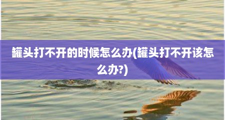 罐头打不开的时候怎么办(罐头打不开该怎么办?)