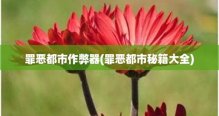 罪恶都市作弊器(罪恶都市秘籍大全)