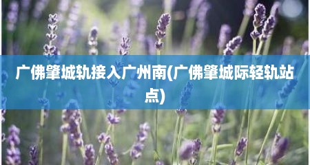 广佛肇城轨接入广州南(广佛肇城际轻轨站点)