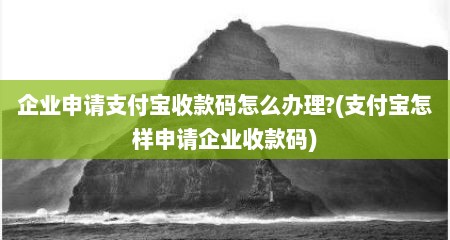 企业申请支付宝收款码怎么办理?(支付宝怎样申请企业收款码)