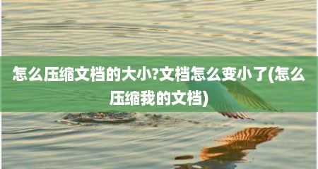 怎么压缩文档的大小?文档怎么变小了(怎么压缩我的文档)