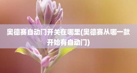 奥德赛自动门开关在哪里(奥德赛从哪一款开始有自动门)