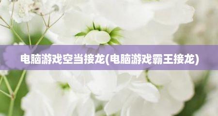 电脑游戏空当接龙(电脑游戏霸王接龙)