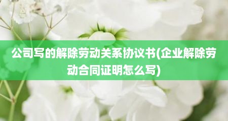 公司写的解除劳动关系协议书(企业解除劳动合同证明怎么写)