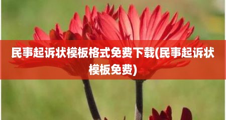 民事起诉状模板格式免费下载(民事起诉状模板免费)