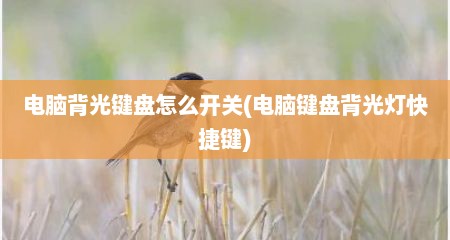 电脑背光键盘怎么开关(电脑键盘背光灯快捷键)