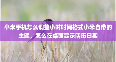 小米手机怎么调整小时时间格式小米自带的主题，怎么在桌面显示阴历日期