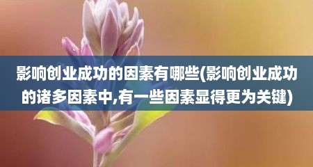 影响创业成功的因素有哪些(影响创业成功的诸多因素中,有一些因素显得更为关键)