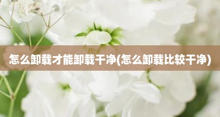 怎么卸载才能卸载干净(怎么卸载比较干净)