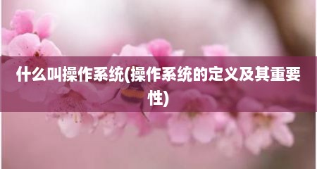 什么叫操作系统(操作系统的定义及甘重要性)