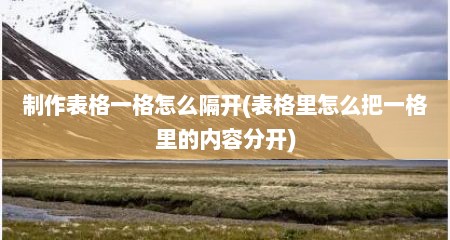 制作表格一格怎么隔开(表格里怎么把一格里的内容分开)