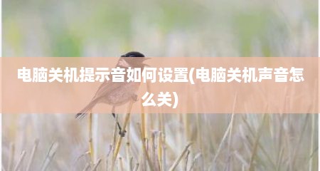 电脑关机提示音如何设置(电脑关机声音怎么关)