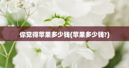 你觉得苹果多少钱(苹果多少钱?)