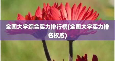 全国大学综合实力排行榜(全国大学实力排名权威)