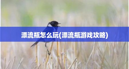 漂流瓶怎么玩(漂流瓶游戏攻略)