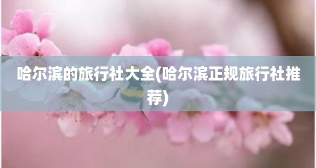 哈尔滨的旅行社大全(哈尔滨正规旅行社推荐)