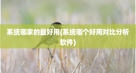 系统哪家的最好用(系统哪个好用对比分析软件)