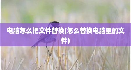 电脑怎么把文件替换(怎么替换电脑里的文件)