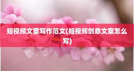 短视频文案写作范文(短视频创意文案怎么写)
