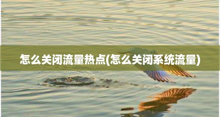 怎么关闭流量热点(怎么关闭系统流量)