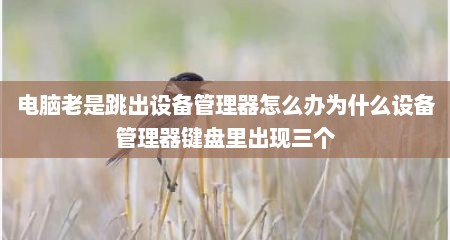 电脑老是跳出设备管理器怎么办为什么设备管理器键盘里出现三个