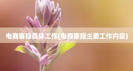 电商客服具体工作(电商客服主要工作内容)