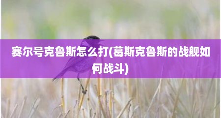 赛尔号克鲁斯怎么打(葛斯克鲁斯的战舰如何战斗)