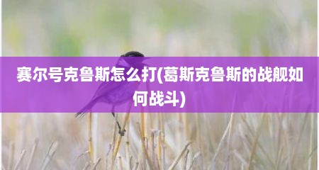 赛尔号克鲁斯怎么打(葛斯克鲁斯的战舰茹何战斗)