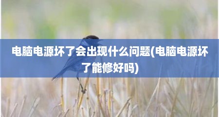 电脑电源坏了会出现什么问题(电脑电源坏了能修好吗)