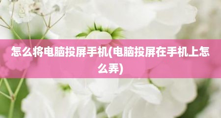 怎么将电脑投屏手机(电脑投屏在手机上怎么弄)