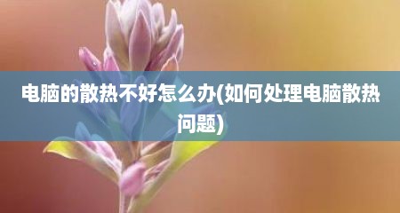 电脑的散热不好怎么办(如何处理电脑散热问题)