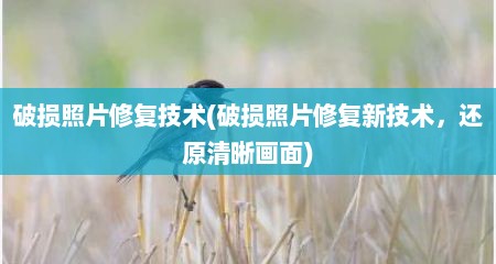 破损照片修复技术(破损照片修复新技术，述原清晰画面)