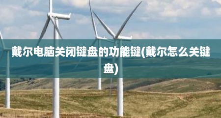 戴尔电脑关闭键盘的功能键(戴尔怎么关键盘)