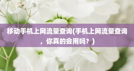 移动手机上网流量查询(手机上网流量查询，你真的会用吗？)