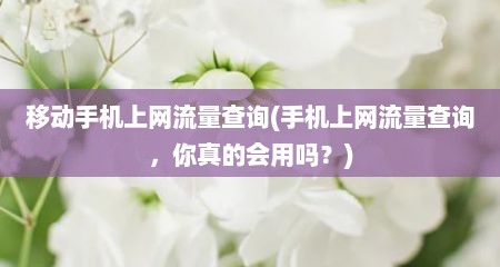 移动手机上网流量查询(手机上网流量查询，尔真的会用吗？)