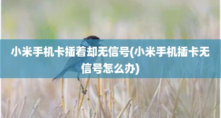 小米手机卡插着却无信号(小米手机插卡无信号怎么办)