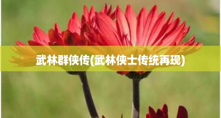 武林群侠传(武林侠士传统再现)