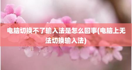 电脑切换不了输入法是怎么回事(电脑上无法切换输入法)